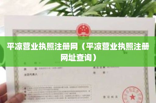 平凉营业执照注册网（平凉营业执照注册网址查询）