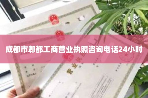 成都市郫都工商营业执照咨询电话24小时