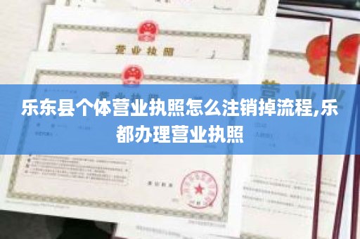 乐东县个体营业执照怎么注销掉流程,乐都办理营业执照