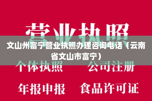 文山州富宁营业执照办理咨询电话（云南省文山市富宁）