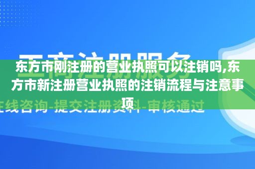 东方市刚注册的营业执照可以注销吗,东方市新注册营业执照的注销流程与注意事项