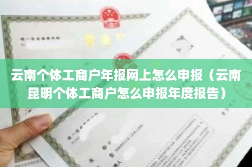 云南个体工商户年报网上怎么申报（云南昆明个体工商户怎么申报年度报告）