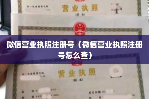 微信营业执照注册号（微信营业执照注册号怎么查）