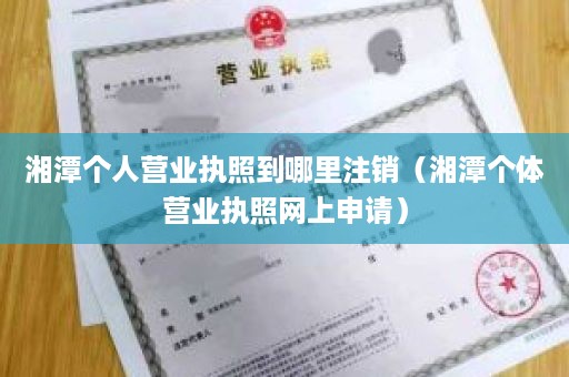 湘潭个人营业执照到哪里注销（湘潭个体营业执照网上申请）