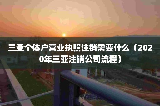 三亚个体户营业执照注销需要什么（2020年三亚注销公司流程）