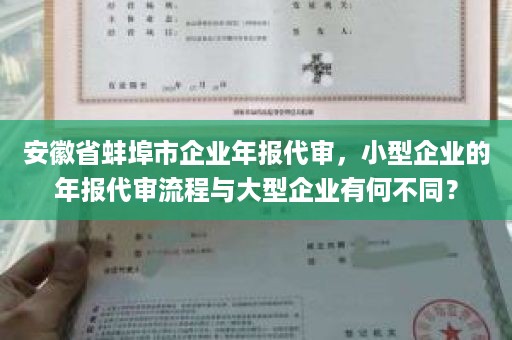 安徽省蚌埠市企业年报代审，小型企业的年报代审流程与大型企业有何不同？