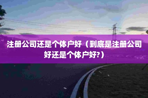 注册公司还是个体户好（到底是注册公司好还是个体户好?）