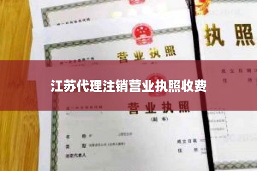 江苏代理注销营业执照收费