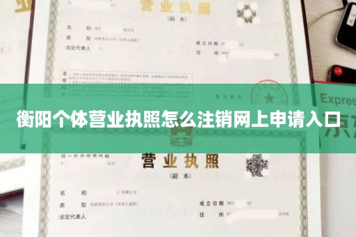 衡阳个体营业执照怎么注销网上申请入口