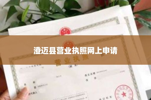 澄迈县营业执照网上申请