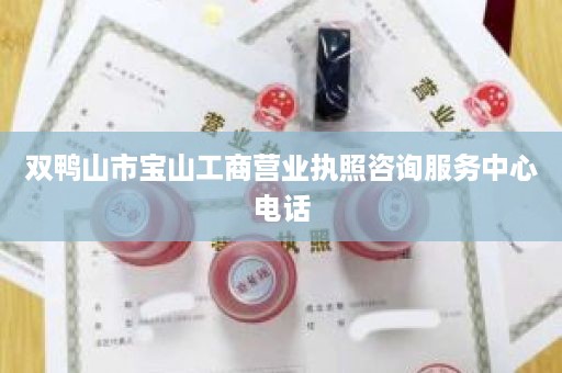 双鸭山市宝山工商营业执照咨询服务中心电话