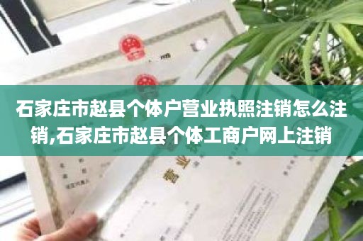 石家庄市赵县个体户营业执照注销怎么注销,石家庄市赵县个体工商户网上注销