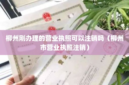 柳州刚办理的营业执照可以注销吗（柳州市营业执照注销）