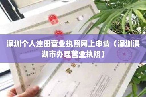 深圳个人注册营业执照网上申请（深圳洪湖市办理营业执照）