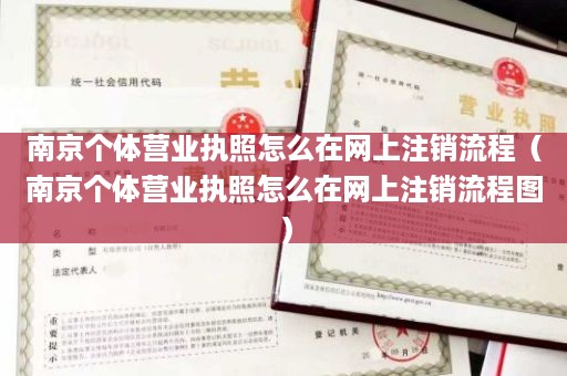 南京个体营业执照怎么在网上注销流程（南京个体营业执照怎么在网上注销流程图）