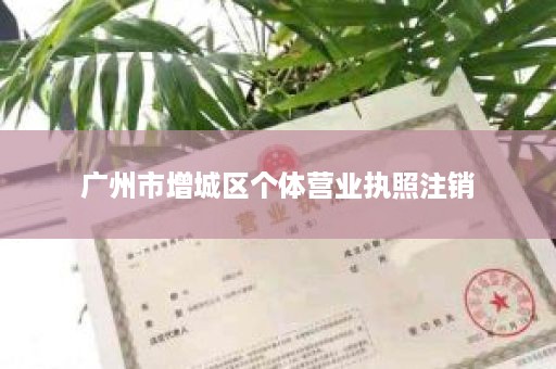 广州市增城区个体营业执照注销