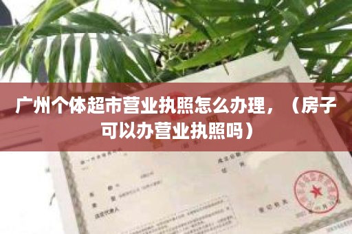 广州个体超市营业执照怎么办理，（房子可以办营业执照吗）