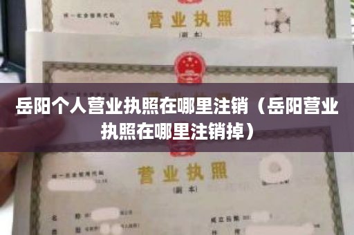 岳阳个人营业执照在哪里注销（岳阳营业执照在哪里注销掉）