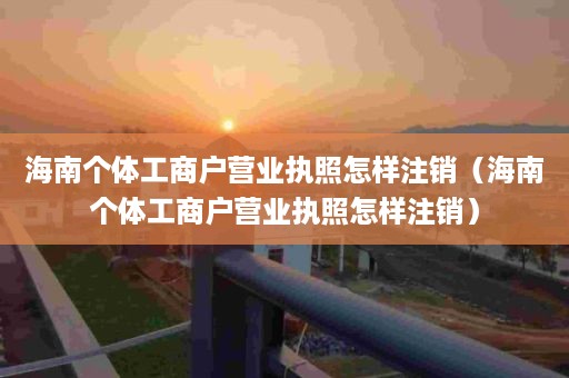 海南个体工商户营业执照怎样注销（海南个体工商户营业执照怎样注销）