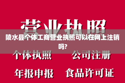 陵水县个体工商营业执照可以在网上注销吗?