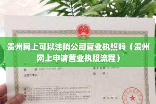 贵州网上可以注销公司营业执照吗（贵州网上申请营业执照流程）