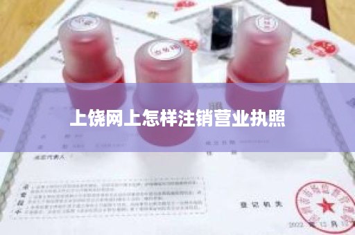 上饶网上怎样注销营业执照