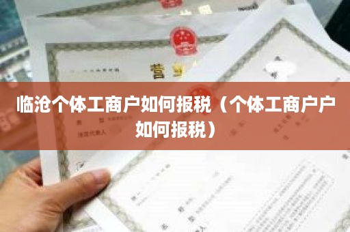 临沧个体工商户如何报税（个体工商户户如何报税）