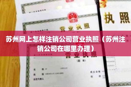 苏州网上怎样注销公司营业执照（苏州注销公司在哪里办理）