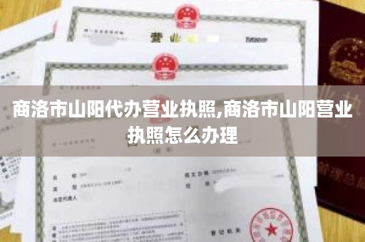 商洛市山阳代办营业执照,商洛市山阳营业执照怎么办理