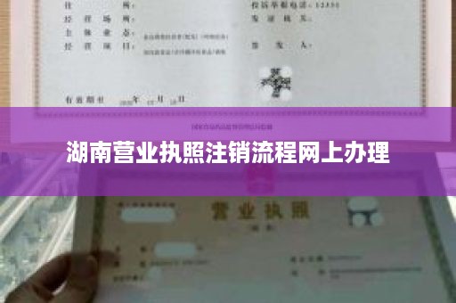 湖南营业执照注销流程网上办理