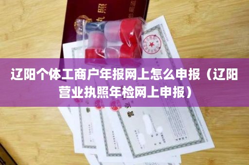 辽阳个体工商户年报网上怎么申报（辽阳营业执照年检网上申报）