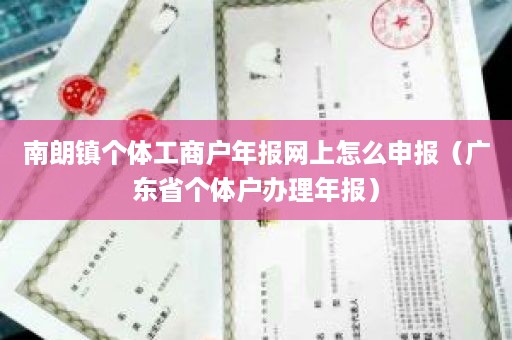 南朗镇个体工商户年报网上怎么申报（广东省个体户办理年报）