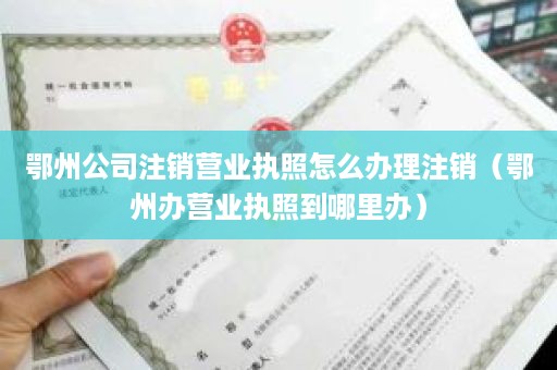 鄂州公司注销营业执照怎么办理注销（鄂州办营业执照到哪里办）