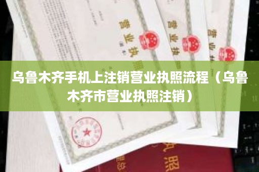 乌鲁木齐手机上注销营业执照流程（乌鲁木齐市营业执照注销）