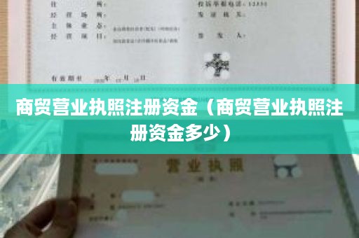 商贸营业执照注册资金（商贸营业执照注册资金多少）