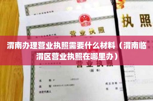 渭南办理营业执照需要什么材料（渭南临渭区营业执照在哪里办）