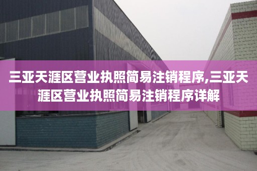 三亚天涯区营业执照简易注销程序,三亚天涯区营业执照简易注销程序详解