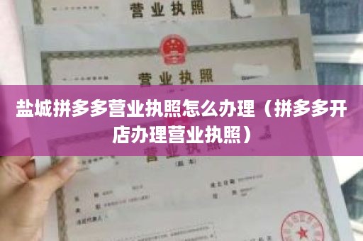 盐城拼多多营业执照怎么办理（拼多多开店办理营业执照）