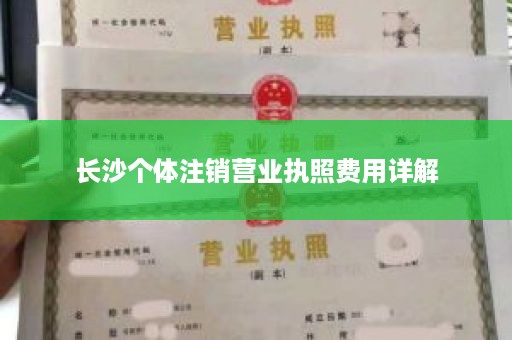 长沙个体注销营业执照费用详解