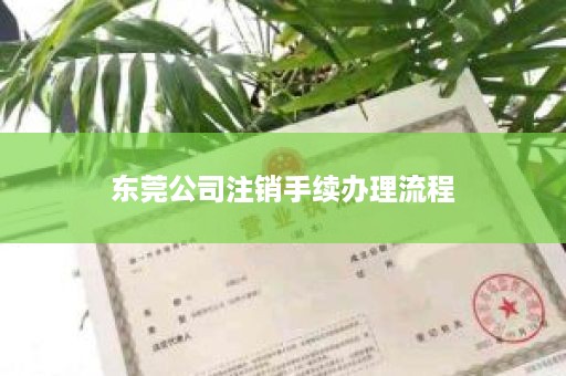 东莞公司注销手续办理流程