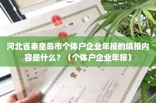 河北省秦皇岛市个体户企业年报的填报内容是什么？（个体户企业年报）