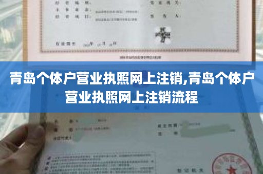 青岛个体户营业执照网上注销,青岛个体户营业执照网上注销流程