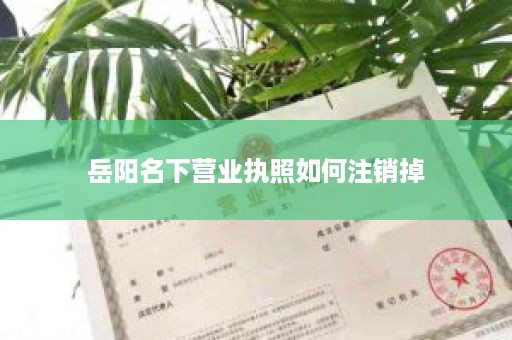 岳阳名下营业执照如何注销掉