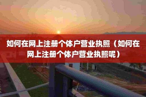 如何在网上注册个体户营业执照（如何在网上注册个体户营业执照呢）