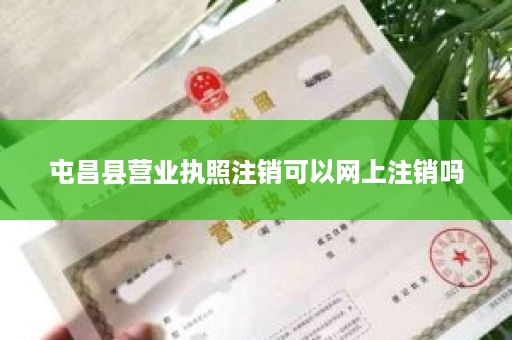 屯昌县营业执照注销可以网上注销吗