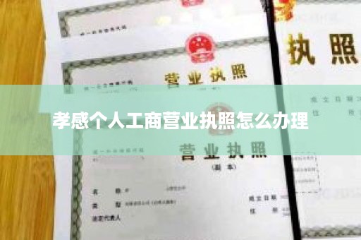 孝感个人工商营业执照怎么办理