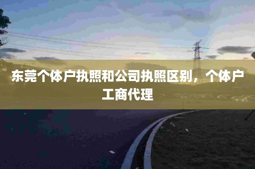 东莞个体户执照和公司执照区别，个体户工商代理