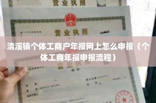 清溪镇个体工商户年报网上怎么申报（个体工商年报申报流程）