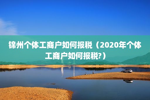 锦州个体工商户如何报税（2020年个体工商户如何报税?）