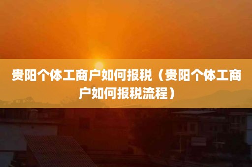 贵阳个体工商户如何报税（贵阳个体工商户如何报税流程）